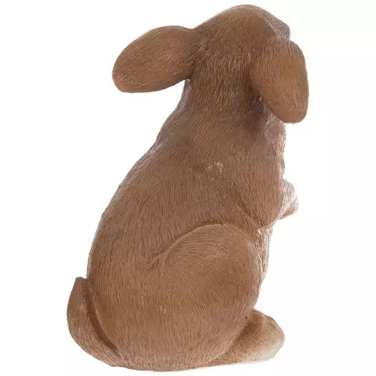 Conejito Café/Blanco