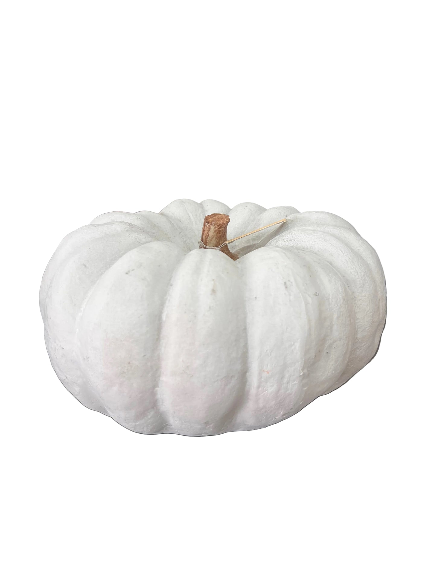 Calabaza Blanca Textura Canva