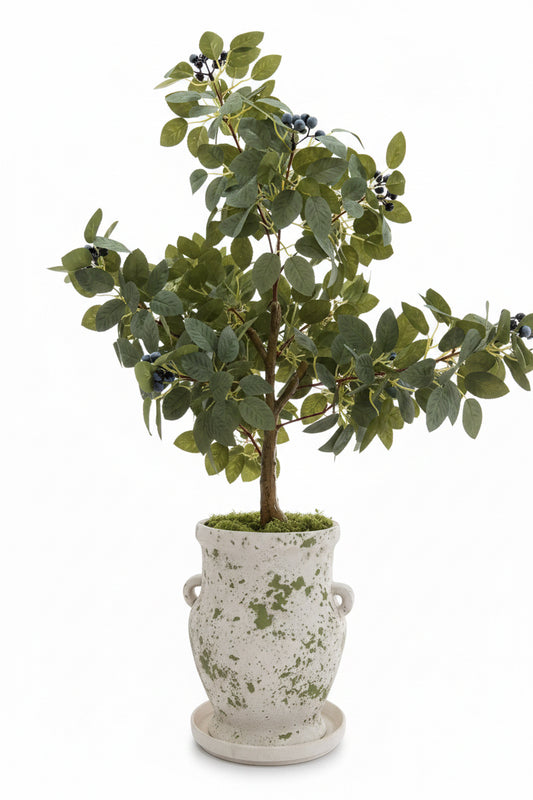 Árbol Berry Blue
