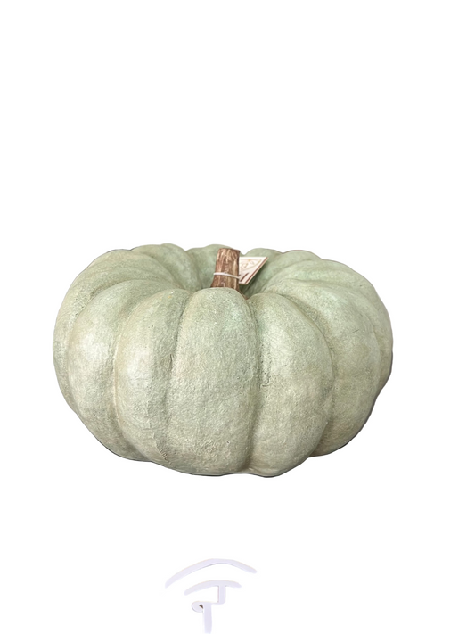 Calabaza Verde Textura Canva