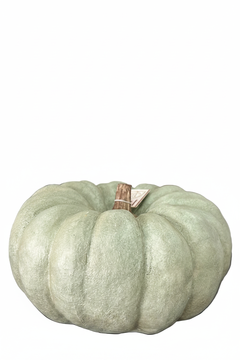 Calabaza Verde Textura Canva