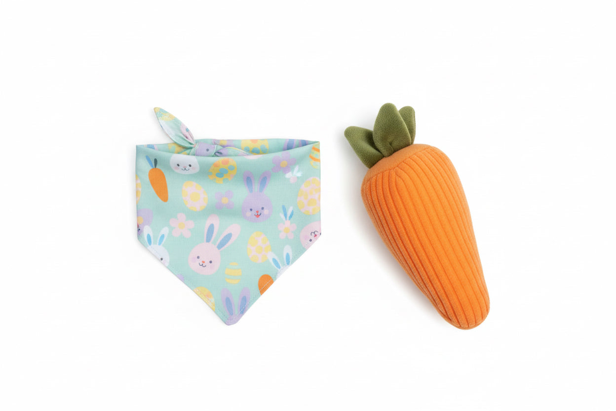 Dog Bandana & Toy