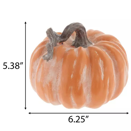 Calabaza Naranja con Tallo
