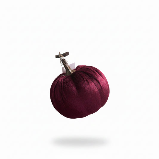 Calabaza Ocre