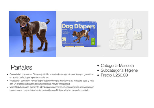 Dog Diapers Pañales