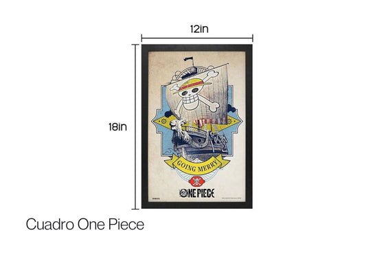 Cuadro One Piece