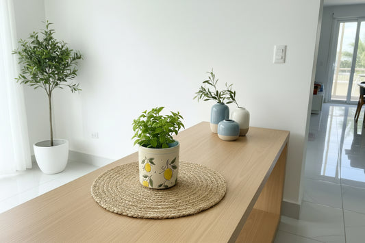 Macetera de Limones Peq.