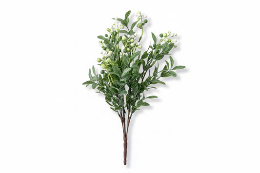 Follaje Berry Blanco