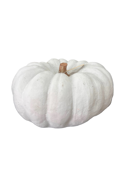 Calabaza Blanca Textura Canva