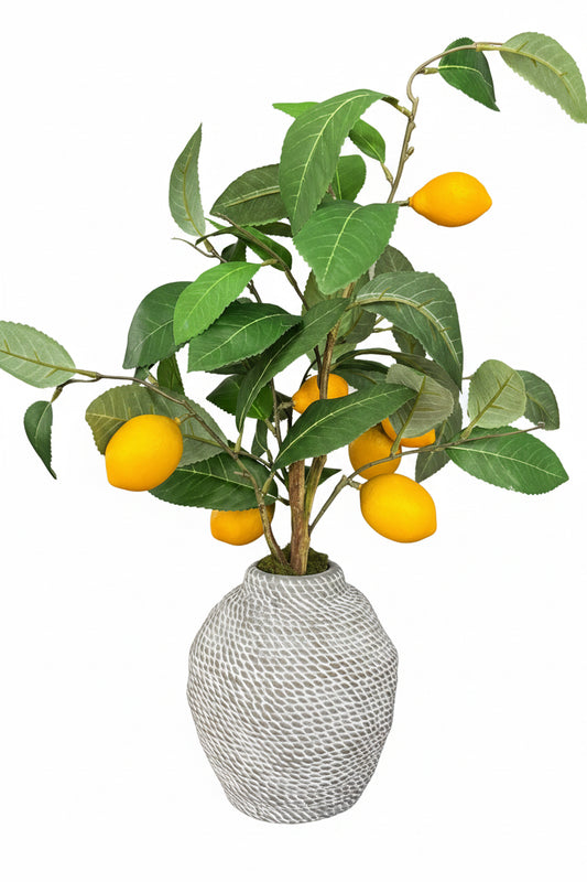 Planta con Limones