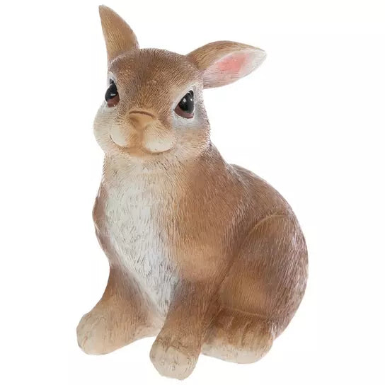 Conejito Café/Blanco