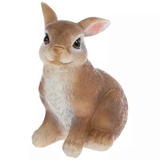 Conejito Café/Blanco