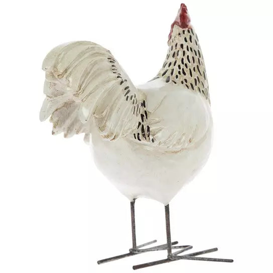 Gallo de Granja
