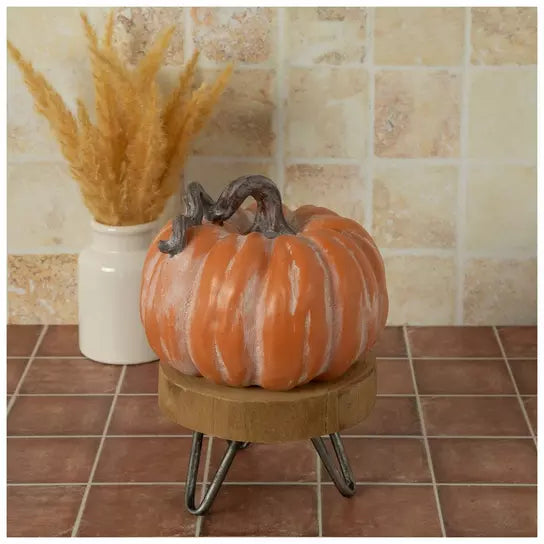 Calabaza Naranja con Tallo