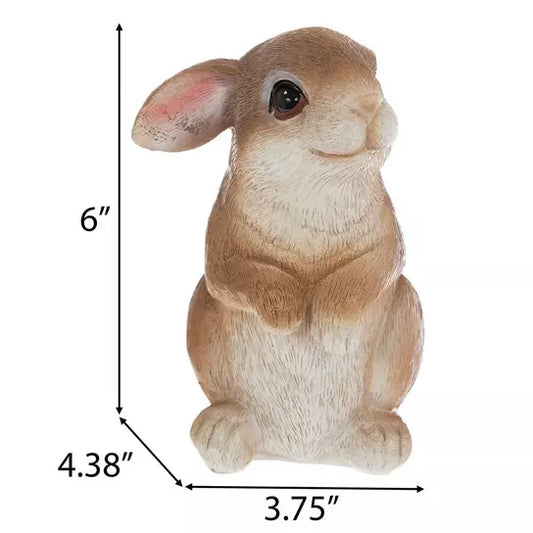 Conejito Café/Blanco