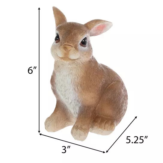 Conejito Café/Blanco