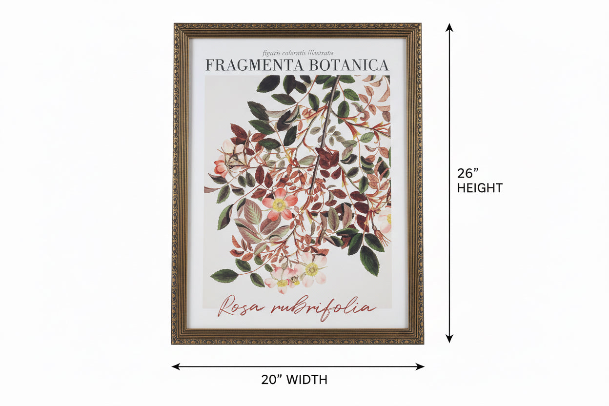 Cuadro Fragmenta Botánica