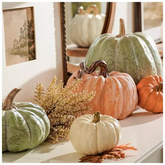 Calabaza Naranja con Tallo