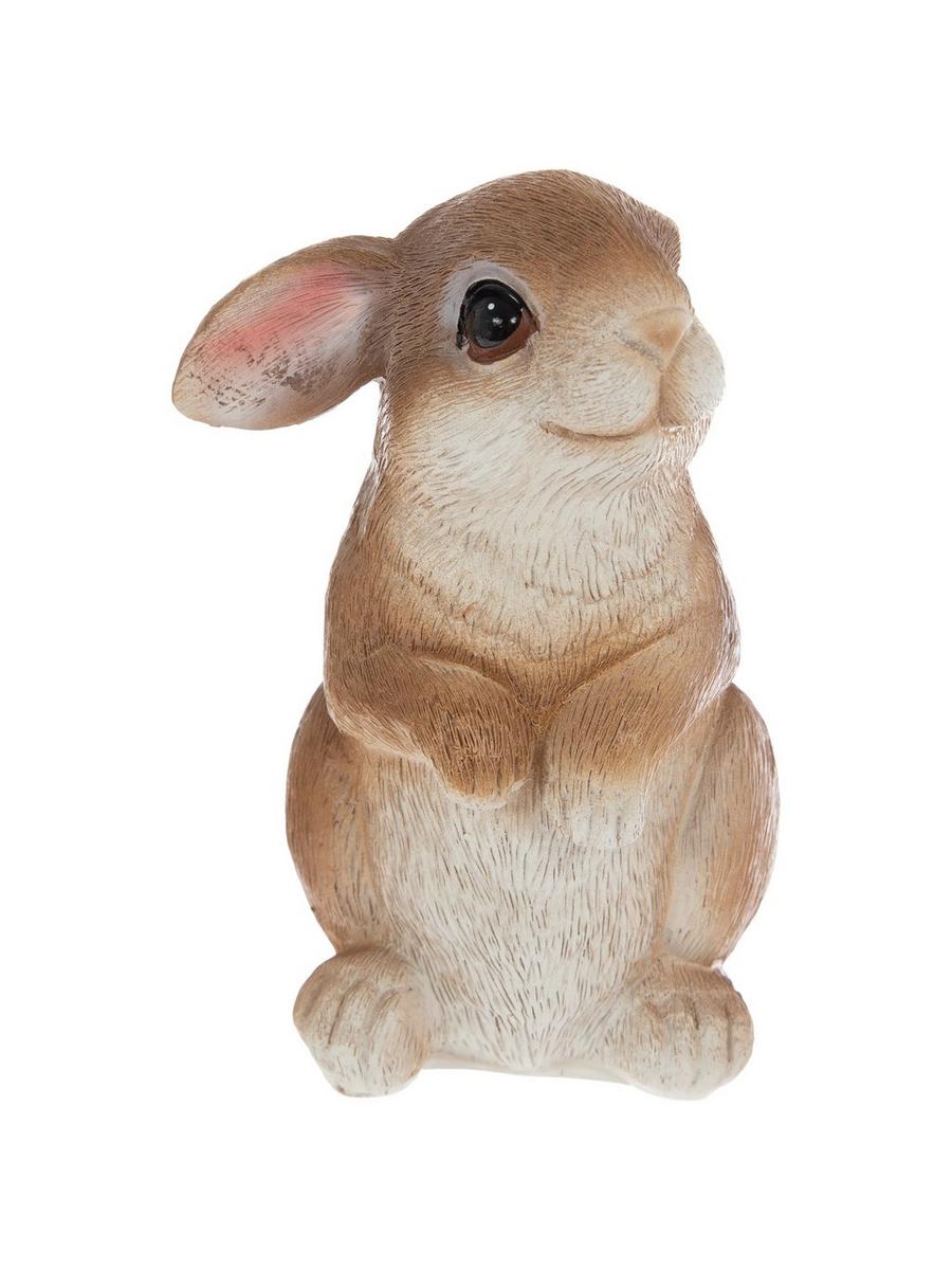 Conejito Café/Blanco
