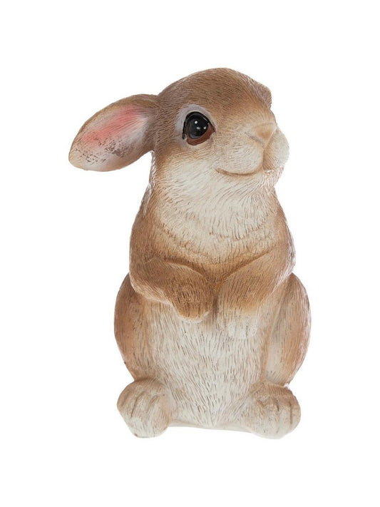 Conejito Café/Blanco