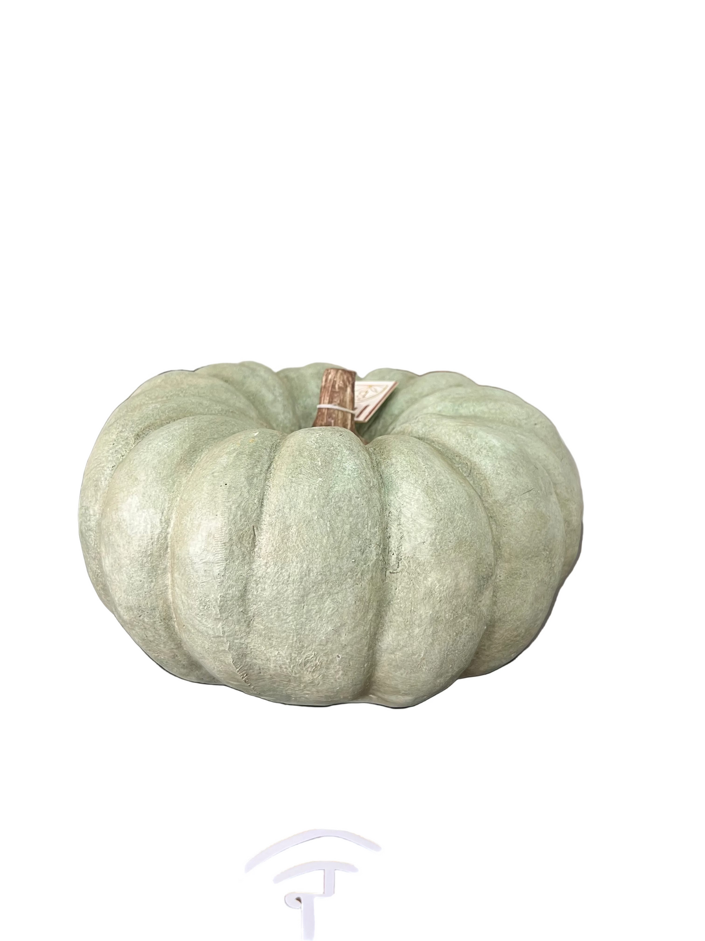 Calabaza Verde Textura Canva